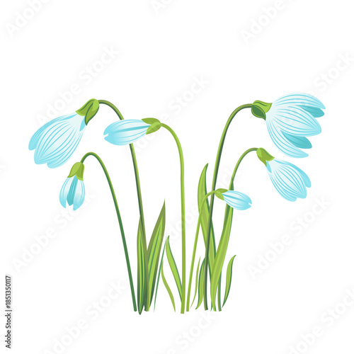 Snowdrops, spring flowers, Happy Mother's Day, spring card