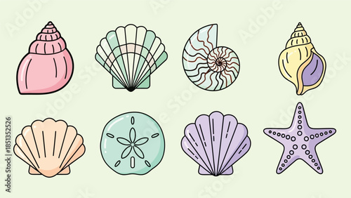 Colorful illustration of various seashells and starfish on a light green background with a flat design style.