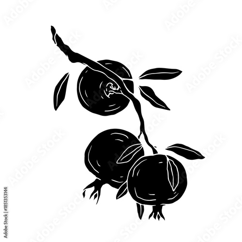 Decorative sketch of a garlic root. Vector graphics.