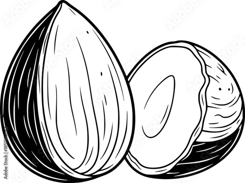almond shelled on transparent background for web and graphic design
