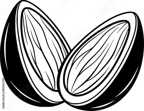 almond shelled on transparent background for web and graphic design
