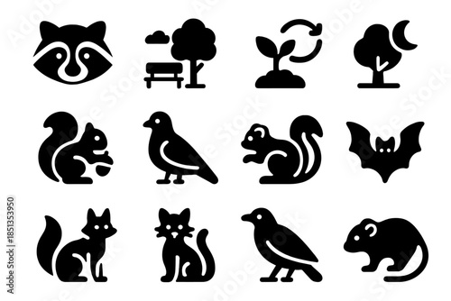 Urban Wildlife Icons. Solid style icons of Urban Wildlife: Raccoon, City Park, Adaptation, Nocturnal, Squirrel, Pigeon, Skunk, Bat