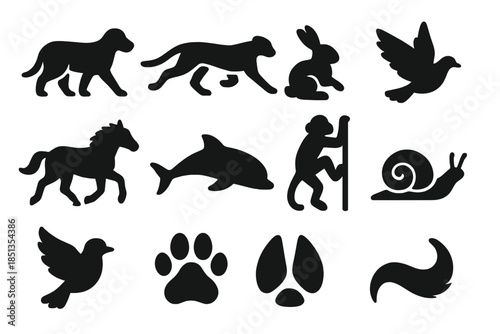 Animal Movement Icons. Solid style icons of animal locomotion types: walking, running, jumping, flying, galloping, swimming,