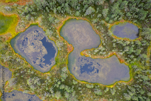 Foto Bog landscape seen from the air in an aerial drone photo in Estonia
