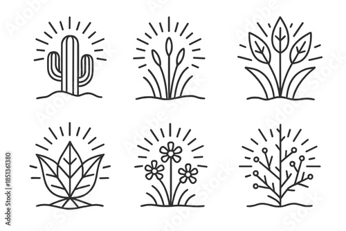 Glowing Desert Flora. Line vector icons of light-infused desert growths: glowing cactus clusters, illuminated sand stems, radiant