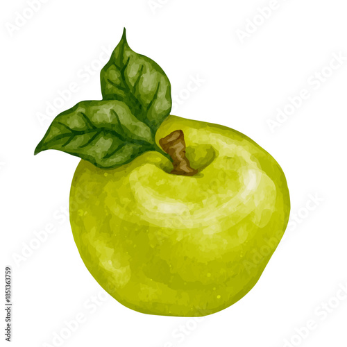 Ripe green apple, juicy fruit. Vector graphics.