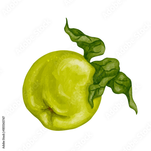 Ripe green apple, juicy fruit. Vector graphics.
