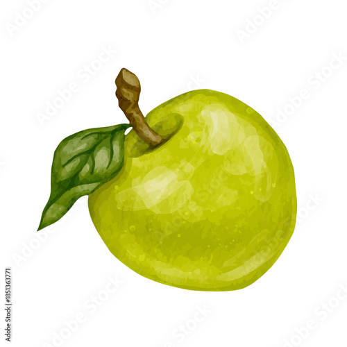 Ripe green apple, juicy fruit. Vector graphics.
