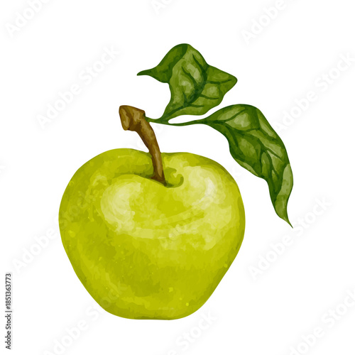 Ripe green apple, juicy fruit. Vector graphics.