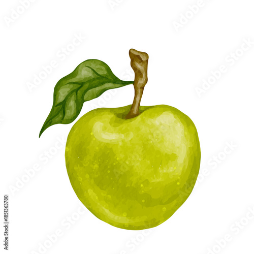 Ripe green apple, juicy fruit. Vector graphics.