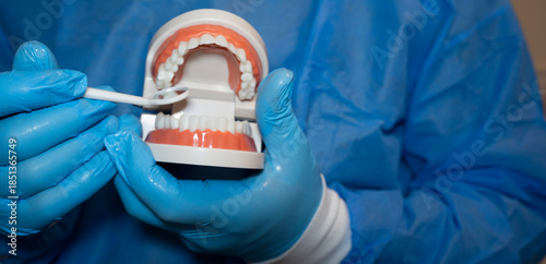 Quadro su tela A dental professional demonstrates proper brushing techniques using a model of teeth and gums
