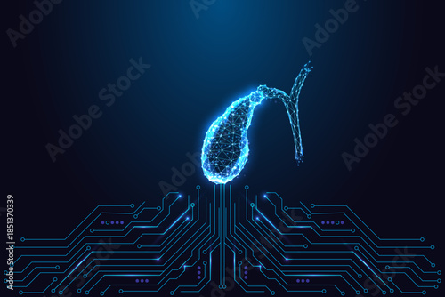 Digital gallbladder icon with medical technology and low-poly anatomy, vector illustration.