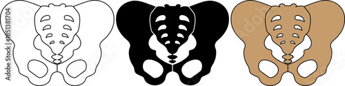 outline silhouette Pelvis icon set