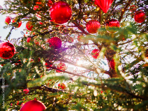 夕日を浴びるクリスマスツリーとオーナメント