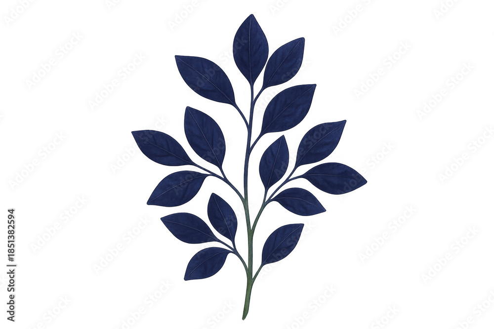 Obraz premium Drawing a dark blue plant branch with many leaves, an isolated botanical element featuring natural flora