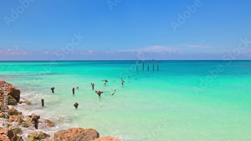 Beautiful view of Caribbean Sea with pelicans resting on old pier posts in turquoise water on seaside background. Aruba.
