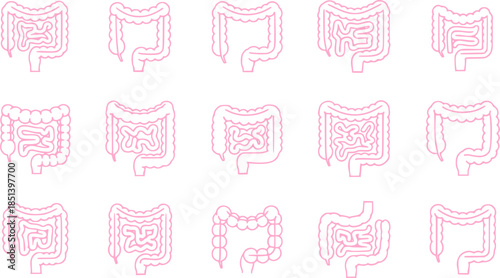 Set of guts vector icons. Linear intestines or bowel. Human organ. Vector 10 Eps.
