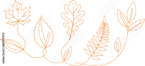 One continuous line leaf. Linear plants. Hand drawing leaves. Vector 10 Eps.
