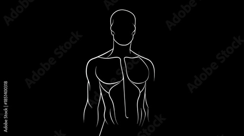 Abstract Line Art of Muscular Male Torso. Minimalist Outline Drawing of Strong Human Physique for Health & Fitness