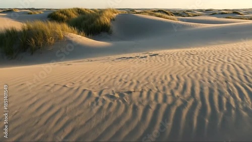 Serene Desert Dunes with Ripples and Sparse Vegetation at Sunset