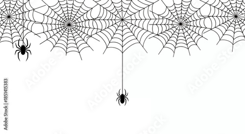 A detailed vector illustration showcases a series of spider webs, each meticulously crafted and connected, with a few spiders hanging, all set against a clean white background.