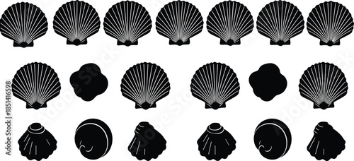 Seashell icons set, scallop shell illustrations, ocean beach elements, sea life graphics, marine decorative symbols for coastal summer design themes