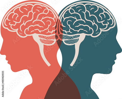 Two human profiles with detailed brain anatomy overlapping – neuroscience, cognition, empathy, communication, psychology vector for medical and educational concepts