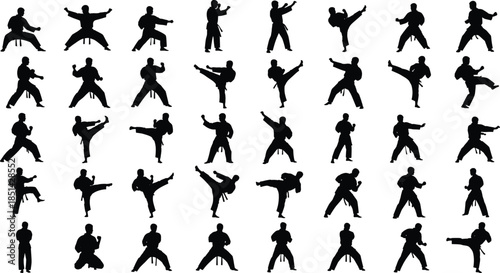 Martial arts fighter silhouettes performing various karate kicks, training stances, combat poses and defensive movements isolated on white background for sports design