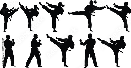 Martial arts silhouettes performing karate and taekwondo kicks, athletes in action poses, combat sport illustration, fitness training design, vector artwork collection