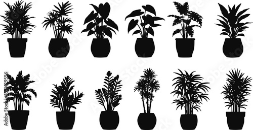 Silhouette collection of potted plants, indoor houseplants variety, botanical illustration, foliage diversity, decorative greenery, plant shapes, natural 