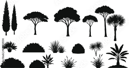 Silhouette of trees and plants, forest vegetation illustration, natural landscape design, tropical and deciduous trees, black and white artwork