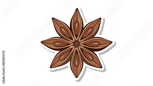 Illustration of a Star Anise Spice Pod