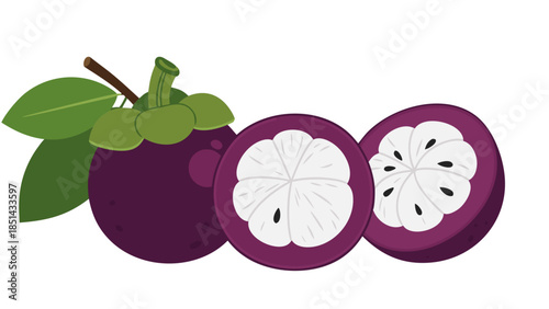 Illustration of Fresh Mangosteen Fruit with Leaves