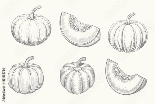 Engraved style cut pumpkin illustration set. vintage hand‑drawn colored vector. Eps 10