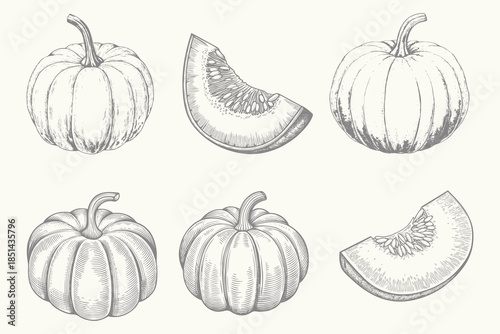 Engraved style cut pumpkin illustration set. vintage hand‑drawn colored vector. Eps 10
