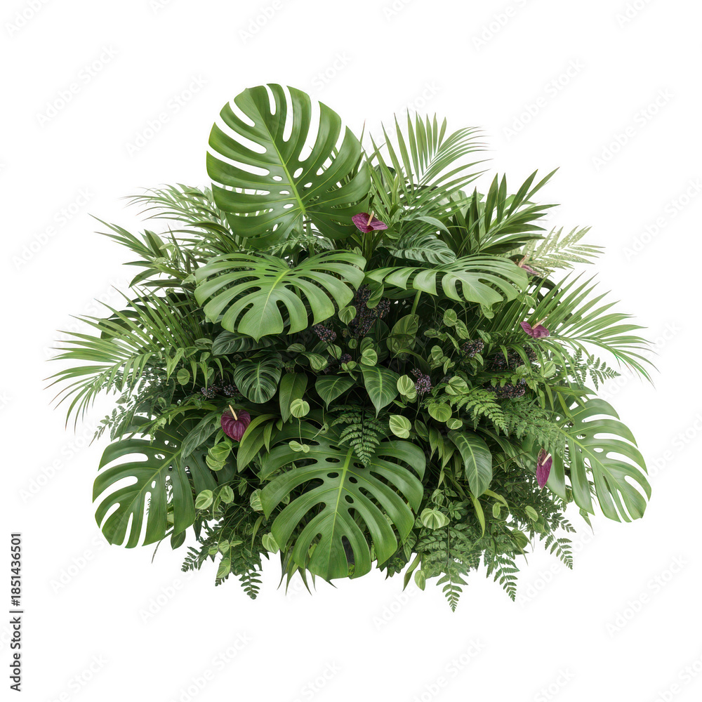 Fototapeta premium Lush tropical foliage arrangement featuring monstera leaves and various green plants isolated on transparent background, creating a vibrant and exotic botanical display
