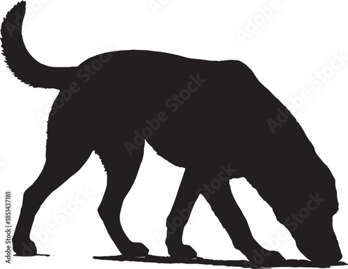 A silhouette of a playful labrador dog happily jumping in the air