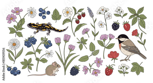 A charming collection of forest flora and fauna, including a salamander, mouse, berries, and wildflowers, all hand-drawn in a vintage style.