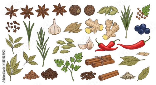 A large and vibrant collection of assorted spices and herbs for cooking, including cinnamon, ginger, and chili, in a hand-drawn style.