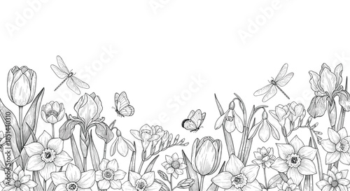 Hand-drawn seamless border of spring flowers, butterflies, and dragonflies in a vintage black and white engraving style.