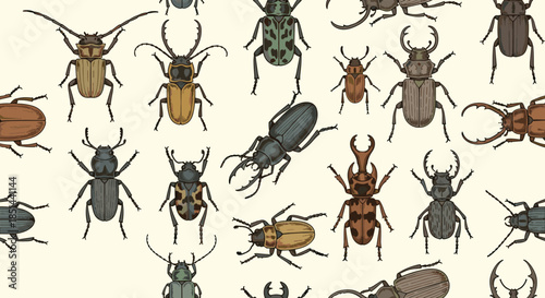 Colorful seamless pattern with various hand-drawn beetles and bugs in a vintage scientific entomology illustration style.