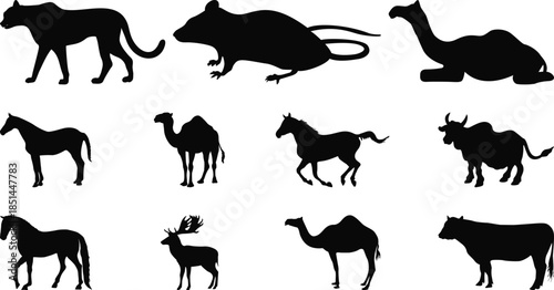 Collection of Animal Silhouettes on White Background