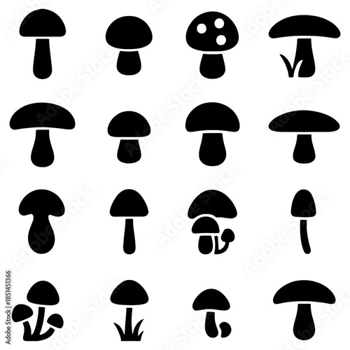 Variety of Mushrooms: A selection of assorted mushroom illustrations, each unique in form, stand out as symbols of nature's beauty and diversity.