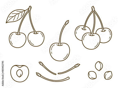 Hand drawn line art of cherry fruits, leaf, and some cherry pits and stalks. Outline illustration.