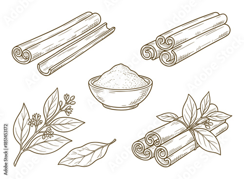Hand-drawn illustration featuring cinnamon sticks, powder in bowl and plant with leaves for flavor.