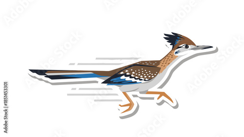 Speeding Roadrunner Cartoon Illustration