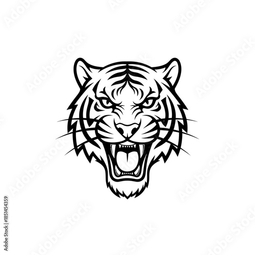 Fierce Tiger Head Roaring with Open Mouth and Sharp Teeth.