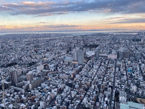 Photography Aerial Urban Cityscape of Tokyo at Sunset – Dense Metropolitan Skyline Backgroun