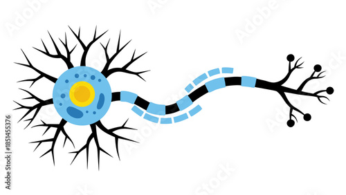 Stylized Neuron Illustration: Biology, Neuroscience, and Neural Network Art