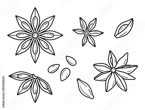 Vector illustration set of star anise spice, individual elements. Isolated on white background.